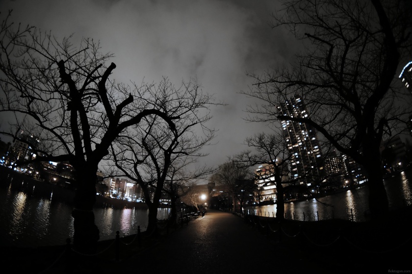 202002_Ueno_06.JPG