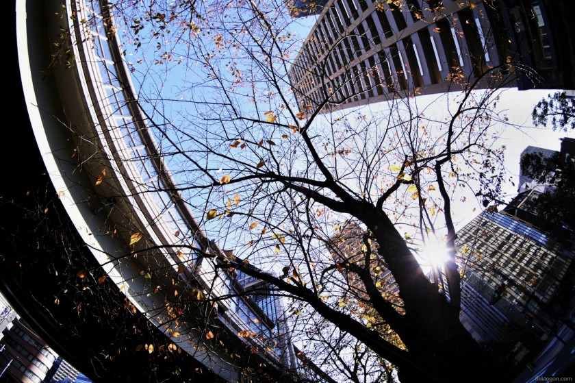202012_Suidobashi_04.jpg 202012_Suidobashi_04.jpg