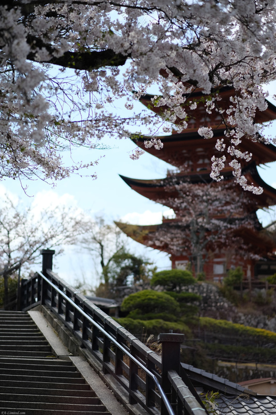 tak1903_Miyajima02.jpg tak1903_Miyajima02.jpg