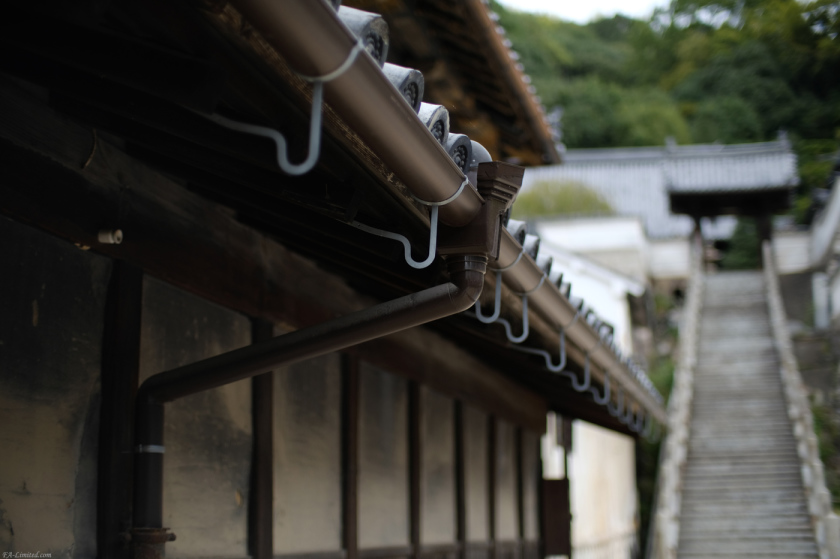tak2010_Takehara03.jpg tak2010_Takehara03.jpg