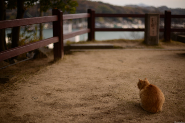 tak1412_Onomichi03.jpg
