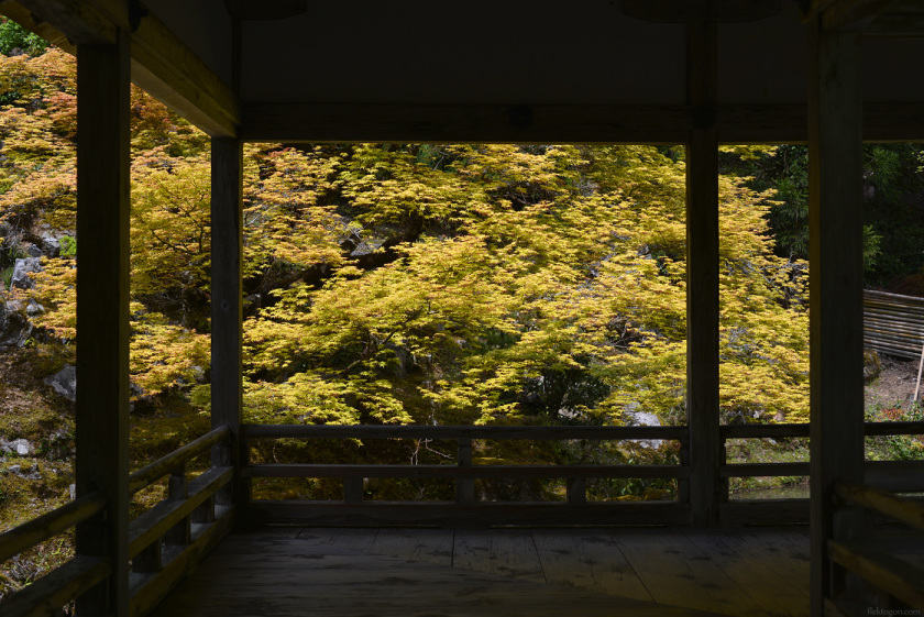 201705_Joshokoji06.jpg