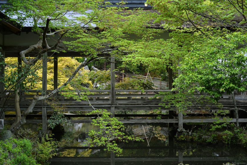 201705_Joshokoji09.jpg