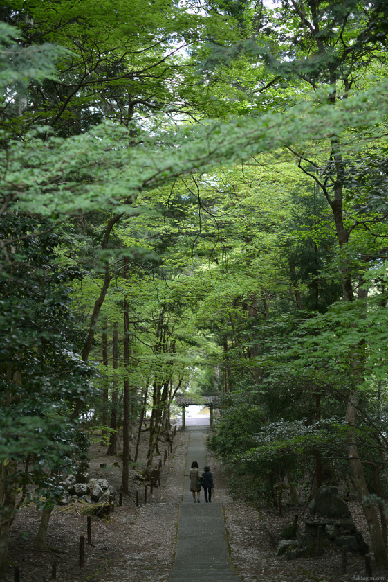 201705_Joshokoji14.jpg