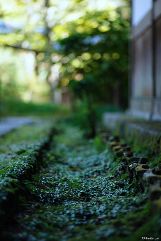 tak2210_kamakura07.jpg tak2210_kamakura07.jpg