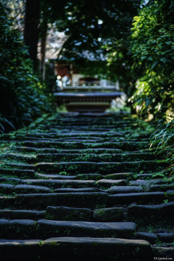 tak2210_kamakura09.jpg tak2210_kamakura09.jpg