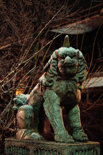 200501_Tenjin_03.jpg