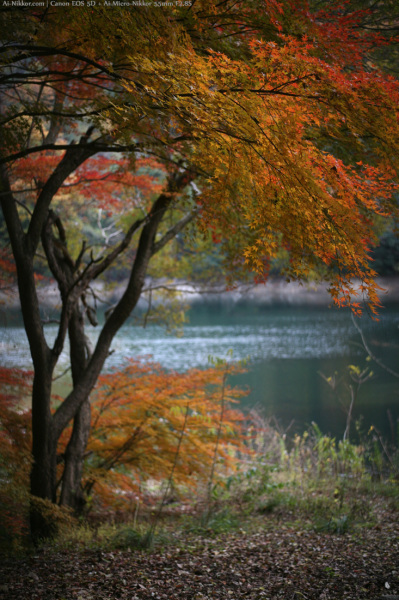 200811_Kobe_02.jpg