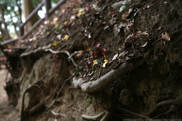 200811_Kobe_03.jpg