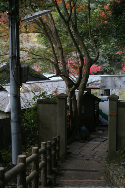 200811_Kobe_04.jpg
