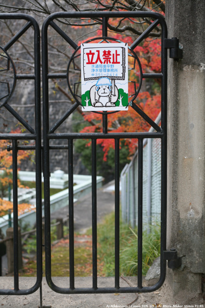 200811_Kobe_05.jpg