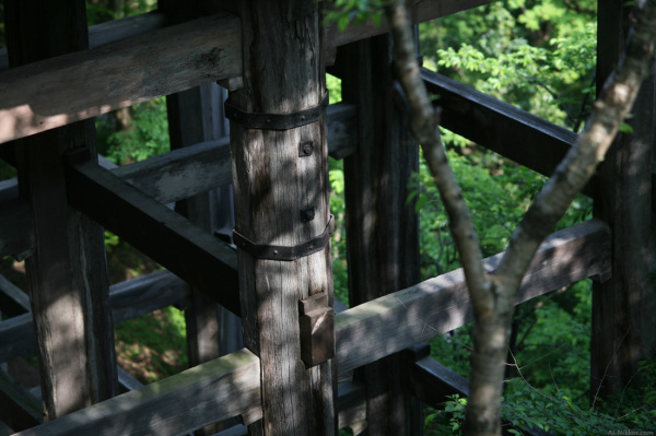 200905_Hasedera_03.jpg 200905_Hasedera_03.jpg