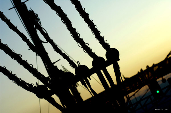 200908_DSC4449.jpg
