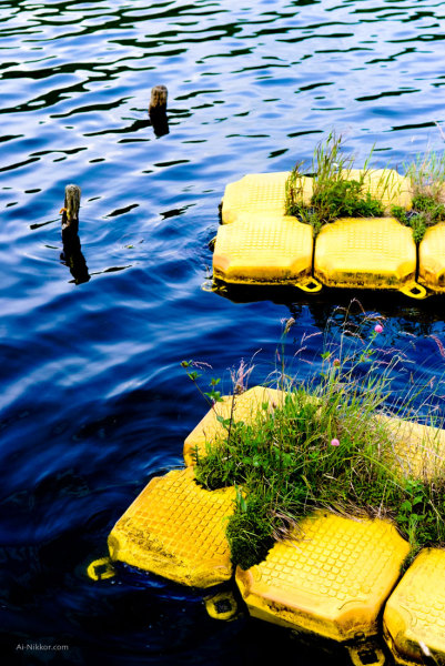 200907_DSF4232_1.jpg