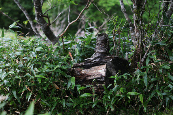 201008_Tsurugi_01.jpg 201008_Tsurugi_01.jpg