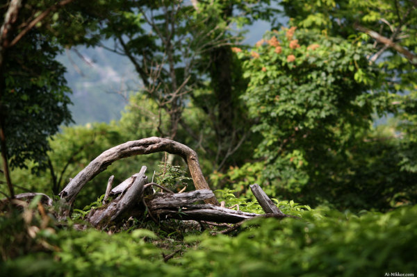 201008_Tsurugi_02.jpg 201008_Tsurugi_02.jpg
