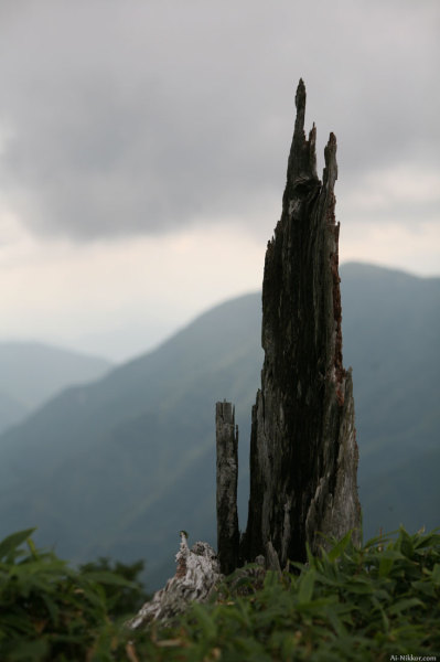 201008_Tsurugi_04.jpg 201008_Tsurugi_04.jpg