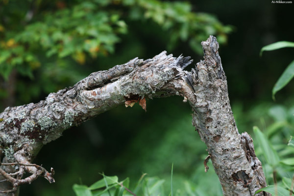 201008_Tsurugi_05.jpg 201008_Tsurugi_05.jpg