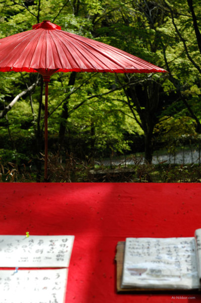 201105_DSC8786.jpg