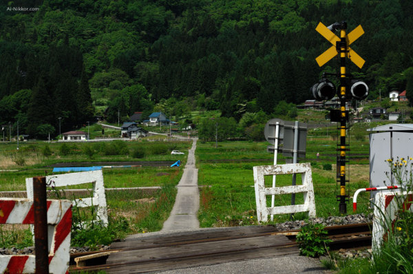 201106_DSC8825.jpg 201106_DSC8825.jpg