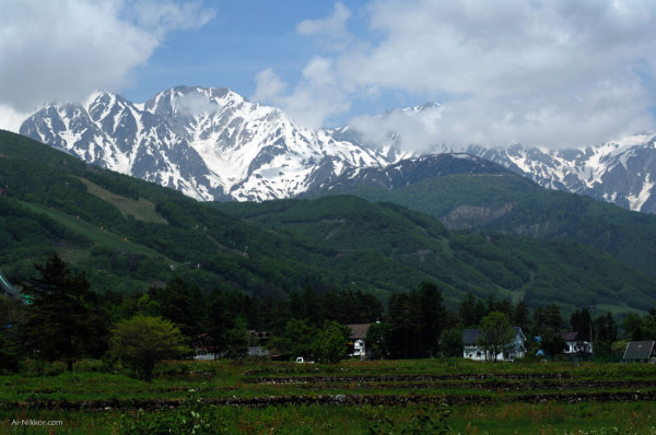 201106_DSC8834.jpg 201106_DSC8834.jpg
