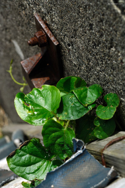 201106_DSC8842.jpg 201106_DSC8842.jpg