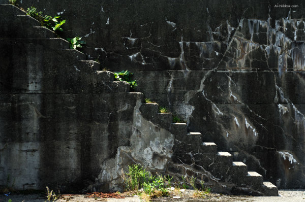201106_DSC8854.jpg 201106_DSC8854.jpg