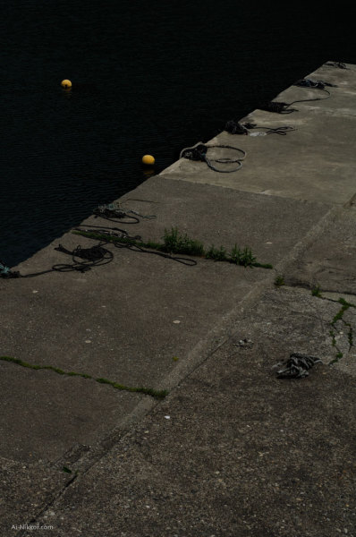 201106_DSC8846.jpg 201106_DSC8846.jpg