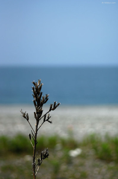 201106_DSC8847.jpg 201106_DSC8847.jpg