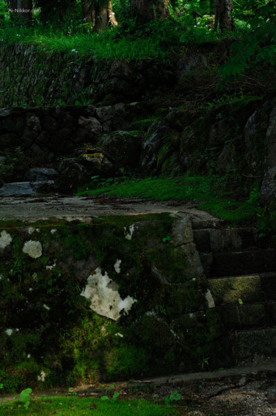201106_DSC8877.jpg 201106_DSC8877.jpg