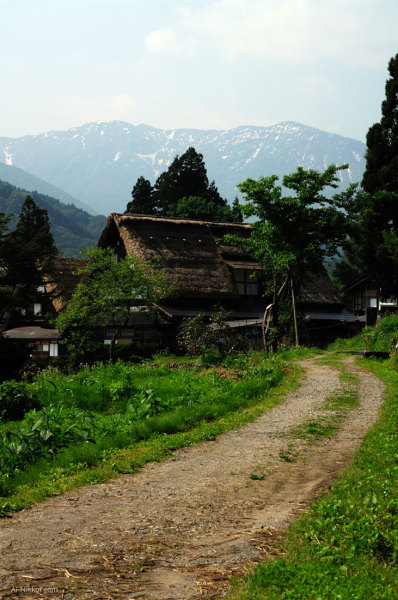 201106_DSC8884.jpg 201106_DSC8884.jpg