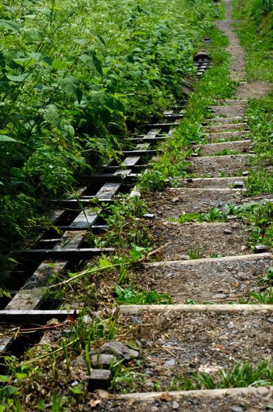 201106_DSC8907.jpg 201106_DSC8907.jpg