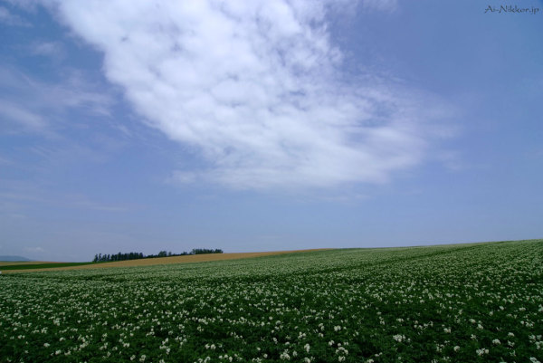 20110727_DSF5507_1.jpg 20110727_DSF5507_1.jpg