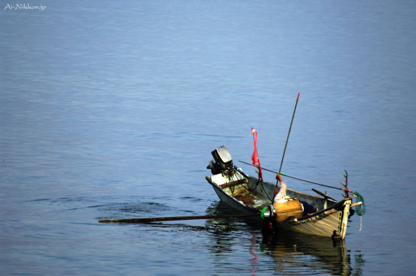 20110728_DSC9132.jpg 20110728_DSC9132.jpg