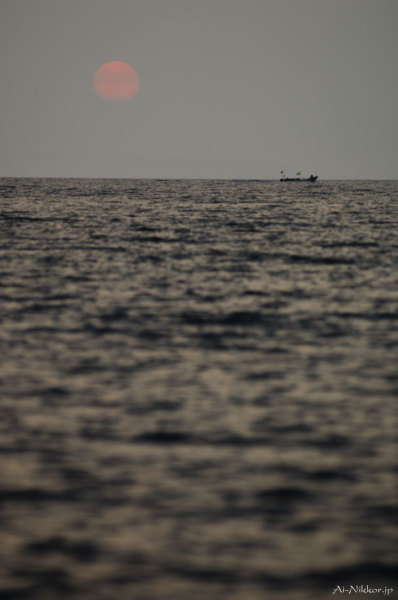 20110728_DSC9165.jpg 20110728_DSC9165.jpg