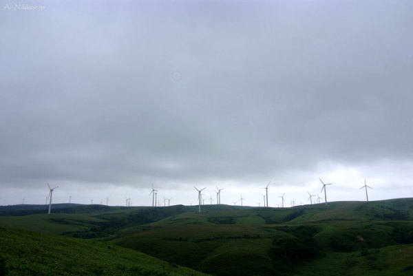 20110730_DSF5774_1.jpg 20110730_DSF5774_1.jpg