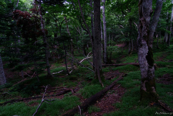 20110803_DSF5896_1.jpg 20110803_DSF5896_1.jpg