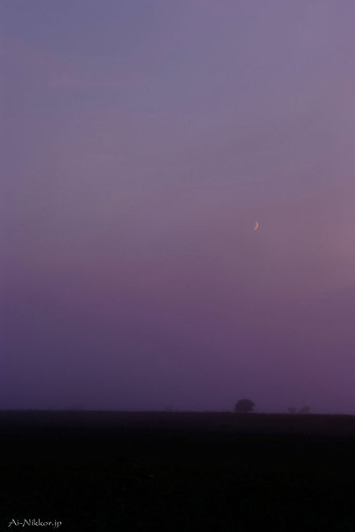 20110803_DSF6019_1.jpg 20110803_DSF6019_1.jpg