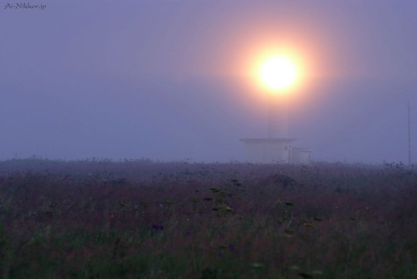 20110803_DSF6022_1.jpg 20110803_DSF6022_1.jpg