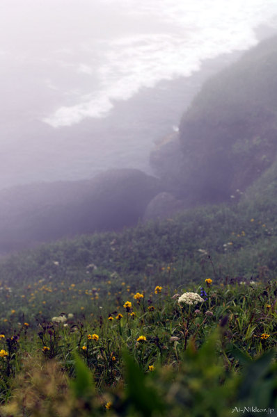 20110804_DSC9456.jpg 20110804_DSC9456.jpg