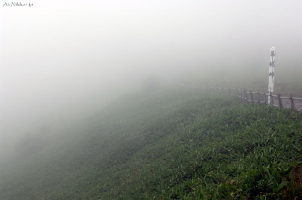 20110805_DSC9518.jpg 20110805_DSC9518.jpg