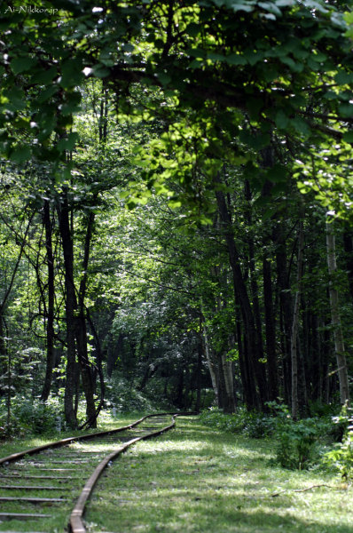 20110805_DSC9531.jpg 20110805_DSC9531.jpg