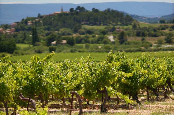 201407_wine_01.jpg 201407_wine_01.jpg