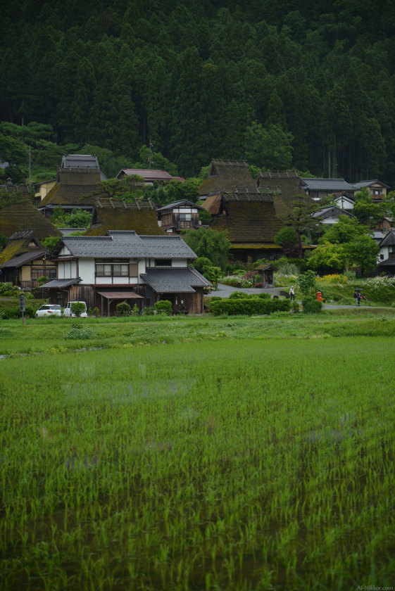 201605_Miyama02.jpg 201605_Miyama02.jpg