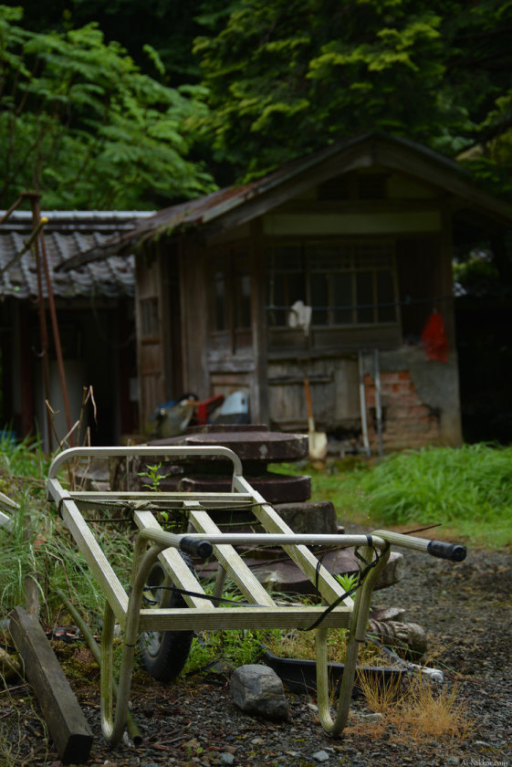 201605_Miyama08.jpg 201605_Miyama08.jpg