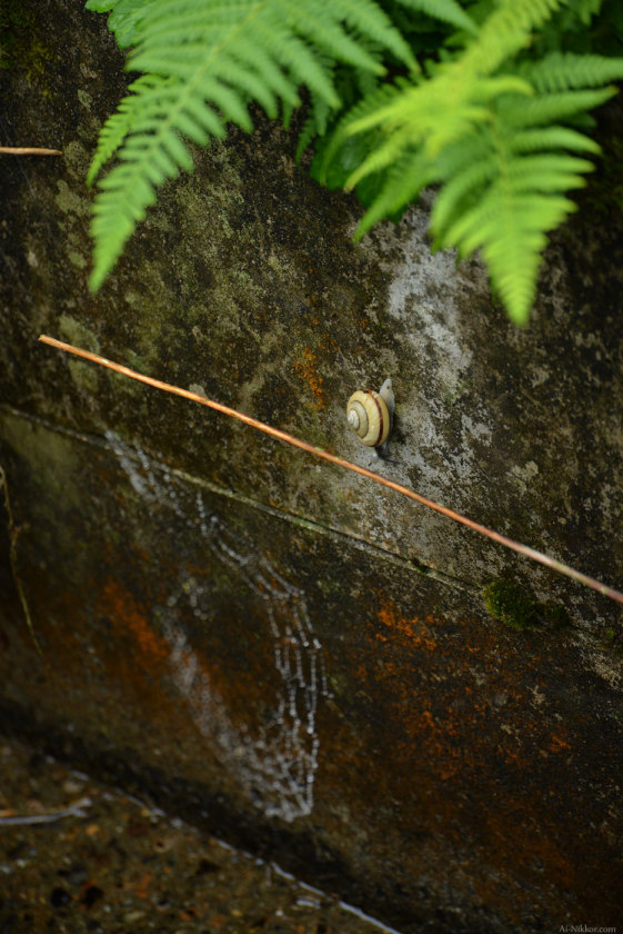 201605_Miyama09.jpg 201605_Miyama09.jpg