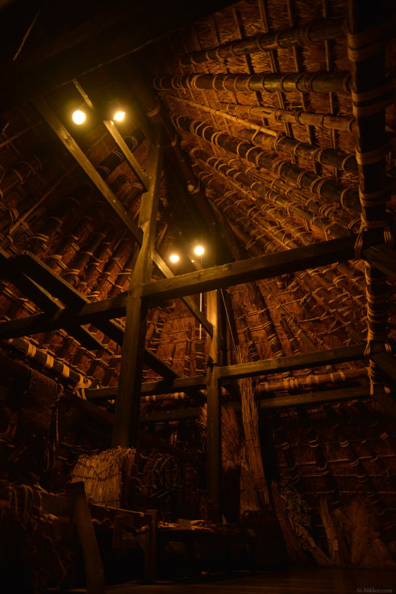201605_Miyama13.jpg 201605_Miyama13.jpg