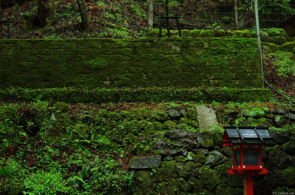 tak1205_Kifune01.jpg tak1205_Kifune01.jpg