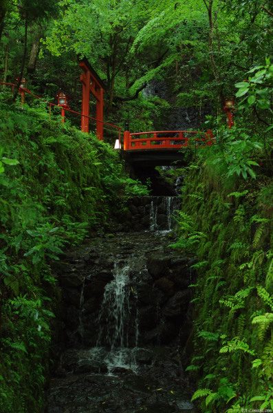 tak1205_Kifune05.jpg tak1205_Kifune05.jpg