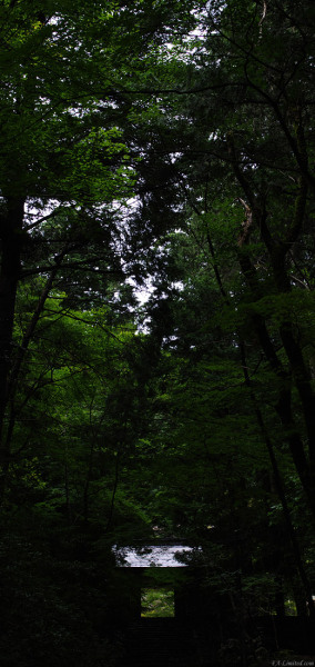tak1208_Kyoto05.jpg